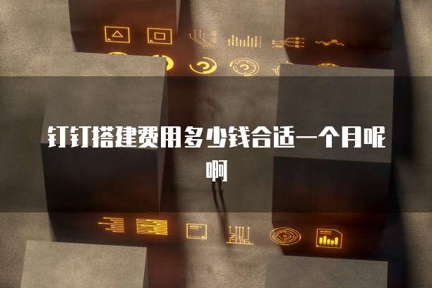 钉钉搭建费用多少钱合适一个月呢啊