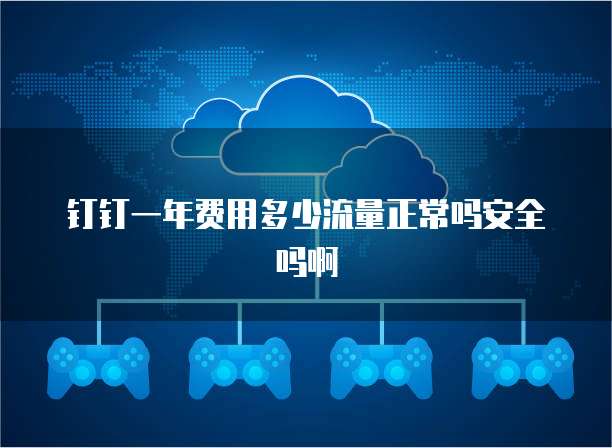 钉钉一年费用多少流量正常吗安全吗啊
