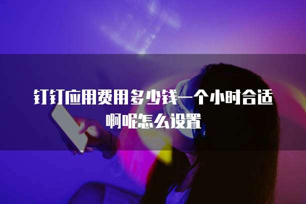 钉钉应用费用多少钱一个小时合适啊呢怎么设置