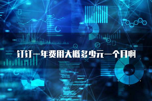 钉钉一年费用大概多少元一个月啊
