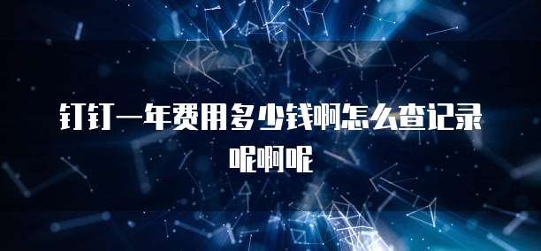 钉钉一年费用多少钱啊怎么查记录呢啊呢