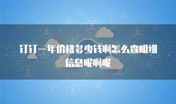 钉钉一年价格多少钱啊怎么查明细信息呢啊呢