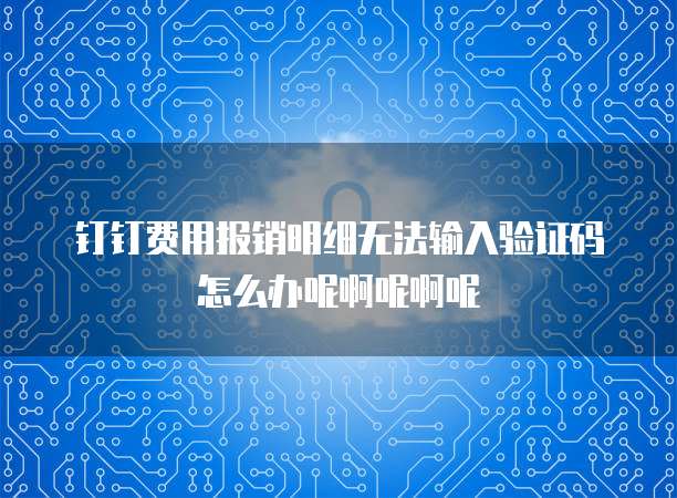 钉钉费用报销明细无法输入验证码怎么办呢啊呢啊呢