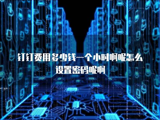 钉钉费用多少钱一个小时啊呢怎么设置密码呢啊