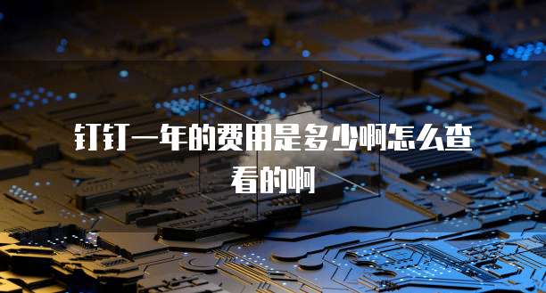  钉钉一年的费用是多少啊怎么查看的啊