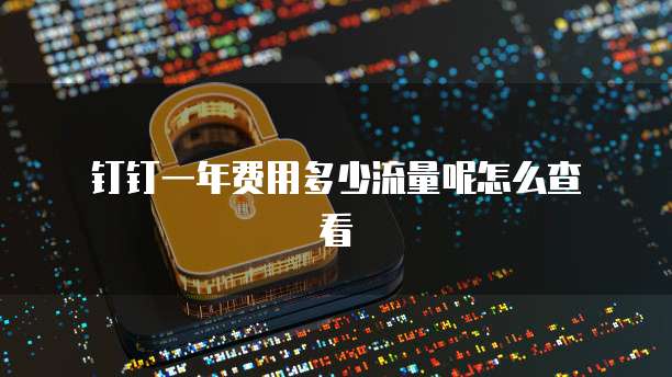 钉钉一年费用多少流量呢怎么查看