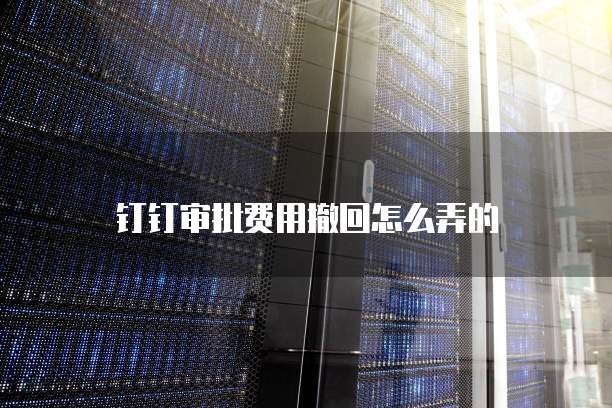 钉钉审批费用撤回怎么弄的