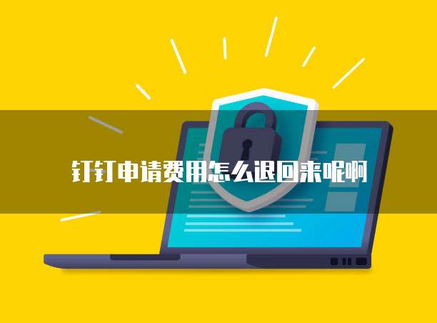 钉钉申请费用怎么退回来呢啊