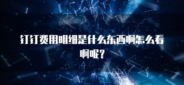 钉钉费用明细是什么东西啊怎么看啊呢?