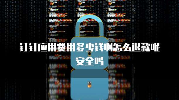 钉钉应用费用多少钱啊怎么退款呢安全吗