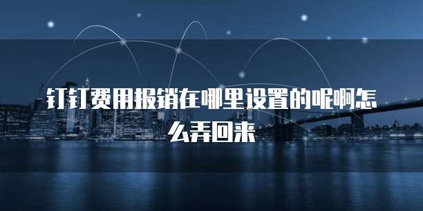 钉钉费用报销在哪里设置的呢啊怎么弄回来