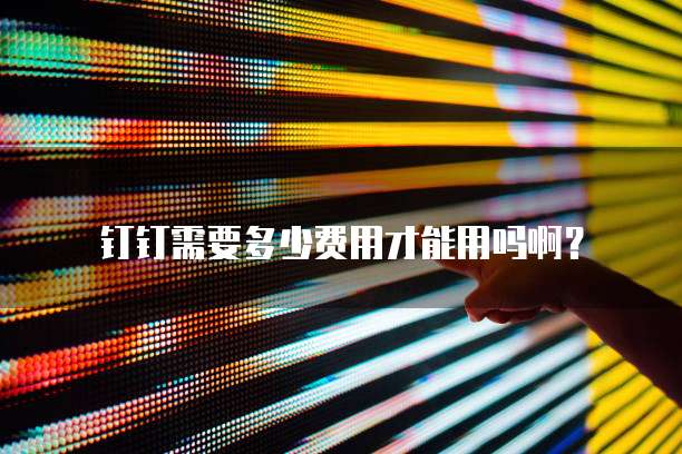 钉钉需要多少费用才能用吗啊?