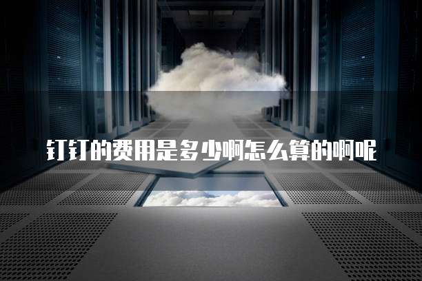 钉钉的费用是多少啊怎么算的啊呢