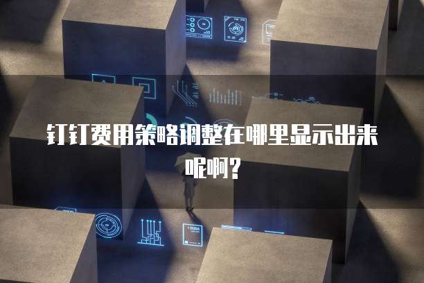 钉钉费用策略调整在哪里显示出来呢啊?