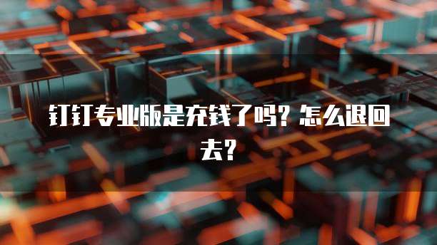 钉钉专业版是充钱了吗?怎么退回去?