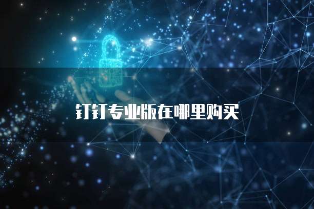钉钉专业版在哪里购买