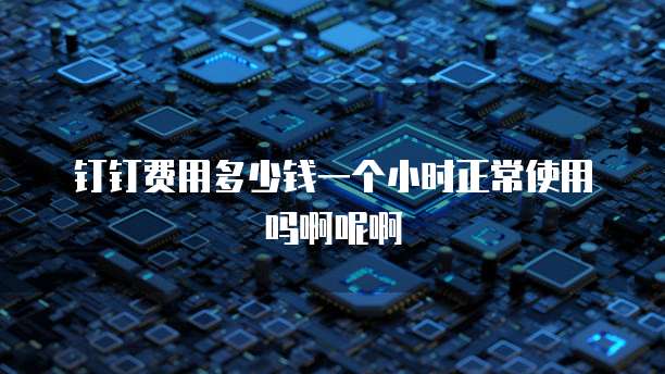 钉钉费用多少钱一个小时正常使用吗啊呢啊