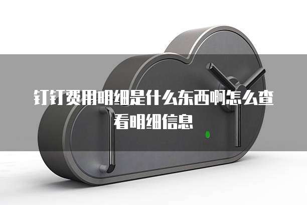 钉钉费用明细是什么东西啊怎么查看明细信息