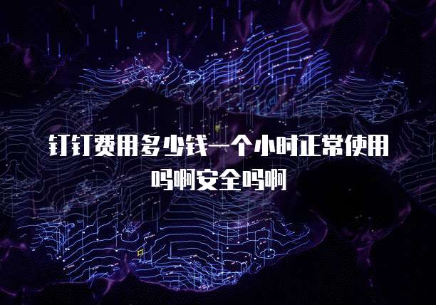 钉钉费用多少钱一个小时正常使用吗啊安全吗啊