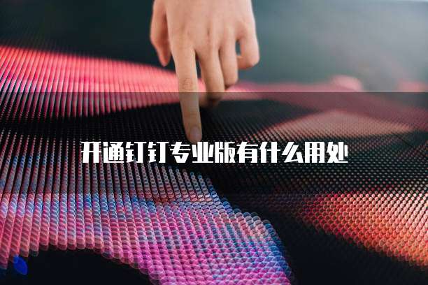 开通钉钉专业版有什么用处