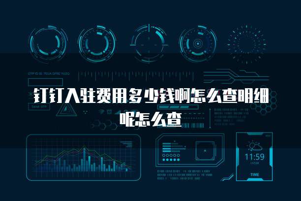 钉钉入驻费用多少钱啊怎么查明细呢怎么查