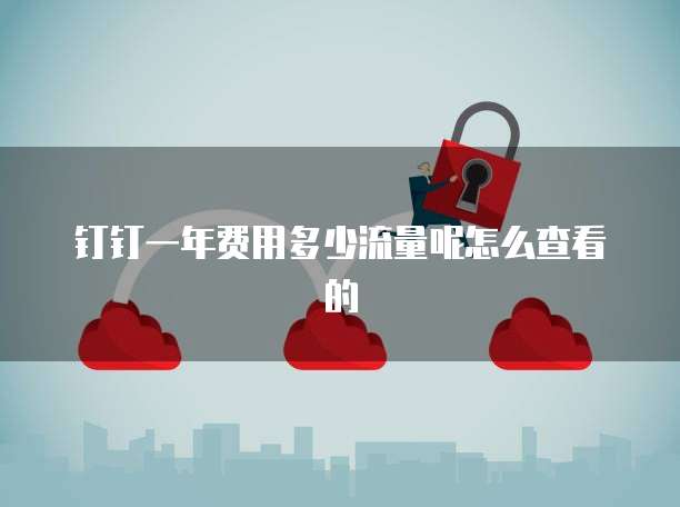 钉钉一年费用多少流量呢怎么查看的