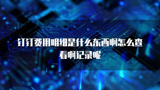 钉钉费用明细是什么东西啊怎么查看啊记录呢