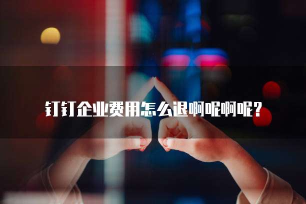 钉钉企业费用怎么退啊呢啊呢?