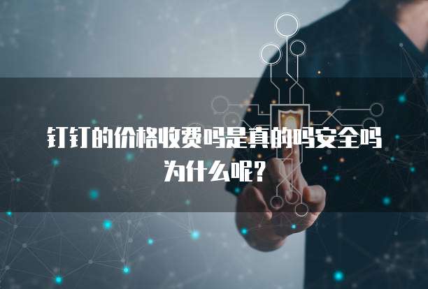 钉钉的价格收费吗是真的吗安全吗为什么呢?