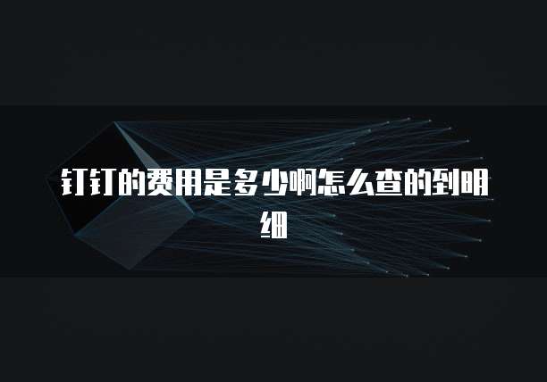 钉钉的费用是多少啊怎么查的到明细