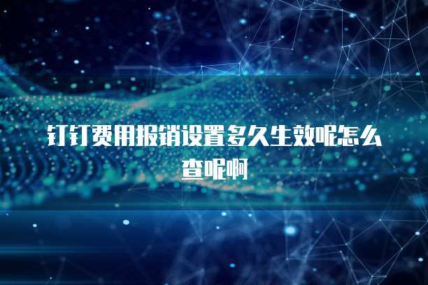 钉钉费用报销设置多久生效呢怎么查呢啊