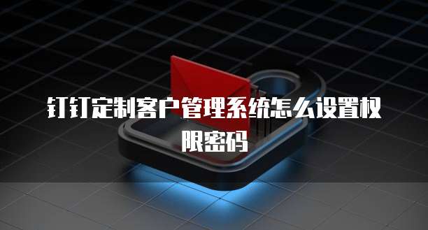 钉钉定制客户管理系统怎么设置权限密码