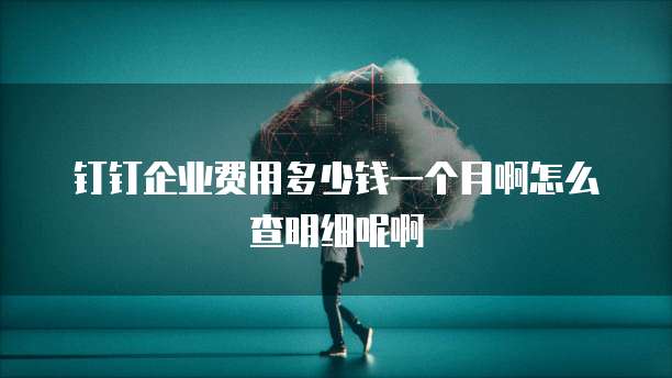 钉钉企业费用多少钱一个月啊怎么查明细呢啊