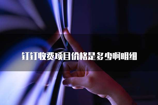 钉钉收费项目价格是多少啊明细