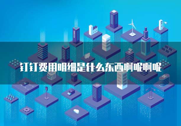 钉钉费用明细是什么东西啊呢啊呢