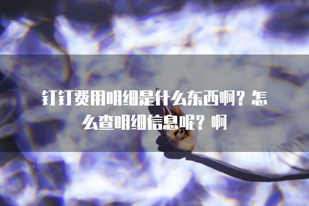 钉钉费用明细是什么东西啊?怎么查明细信息呢?啊