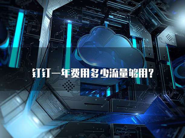 钉钉一年费用多少流量够用?