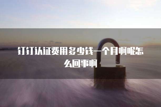 钉钉认证费用多少钱一个月啊呢怎么回事啊