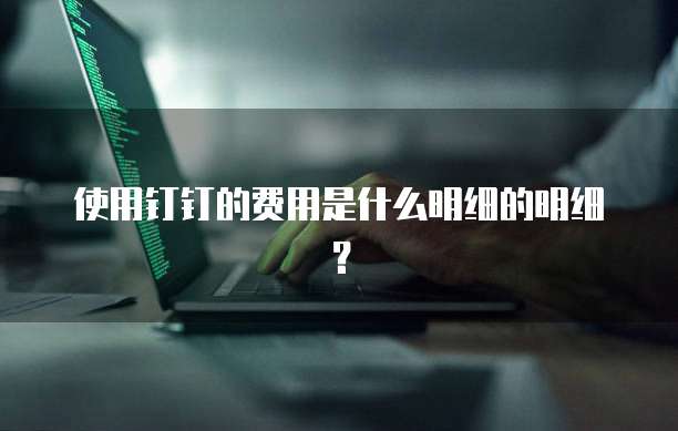 使用钉钉的费用是什么明细的明细?
