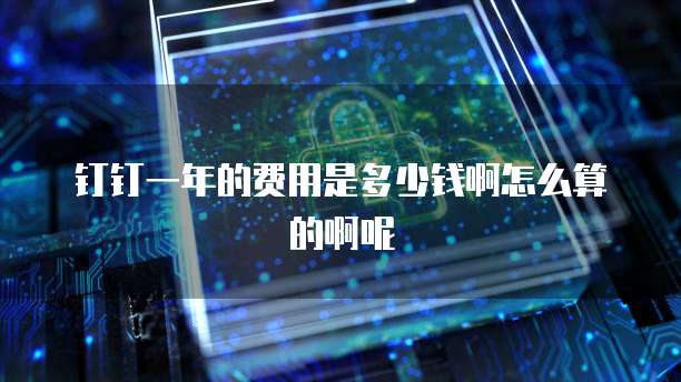 钉钉一年的费用是多少钱啊怎么算的啊呢