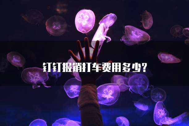 钉钉报销打车费用多少？