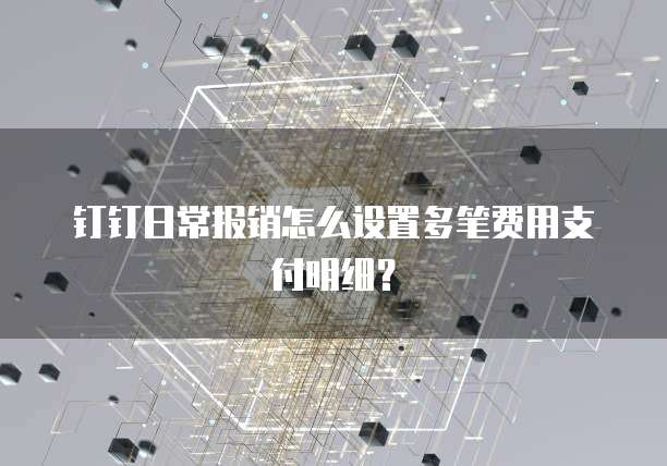 钉钉日常报销怎么设置多笔费用支付明细?