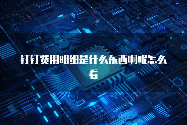 钉钉费用明细是什么东西啊呢怎么看