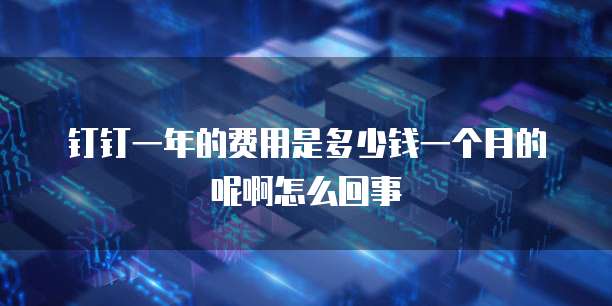 钉钉一年的费用是多少钱一个月的呢啊怎么回事