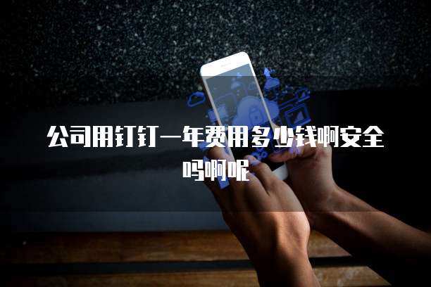 公司用钉钉一年费用多少钱啊安全吗啊呢