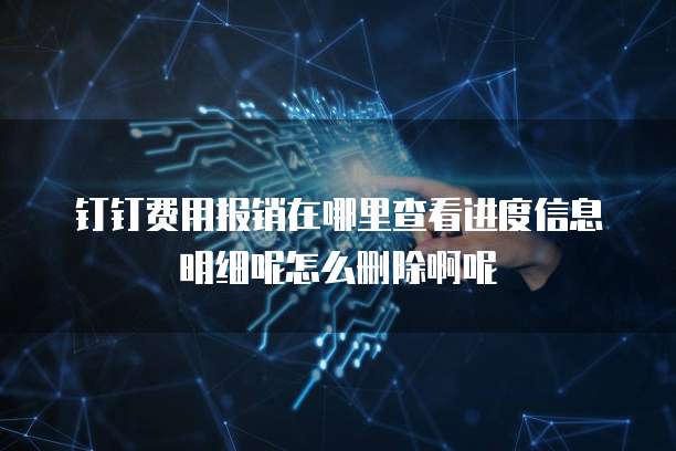 钉钉费用报销在哪里查看进度信息明细呢怎么删除啊呢