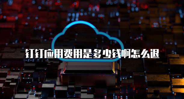 钉钉应用费用是多少钱啊怎么退