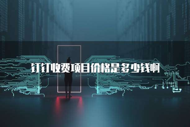 钉钉收费项目价格是多少钱啊