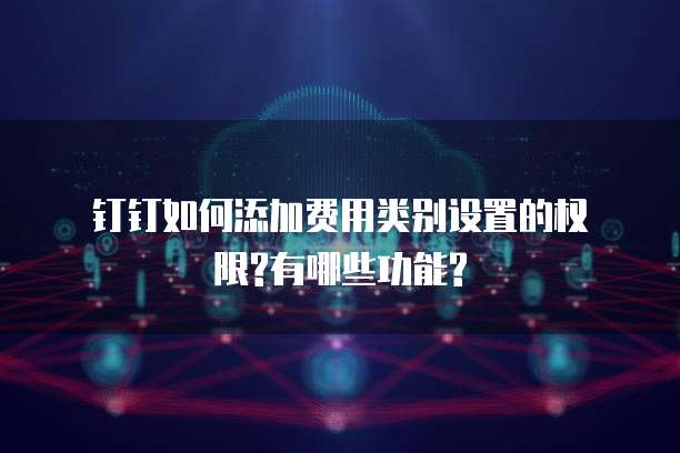 钉钉如何添加费用类别设置的权限?有哪些功能?