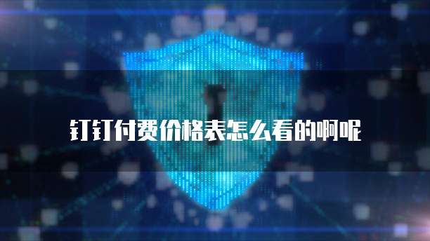 钉钉付费价格表怎么看的啊呢
